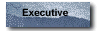 Executive Jobs